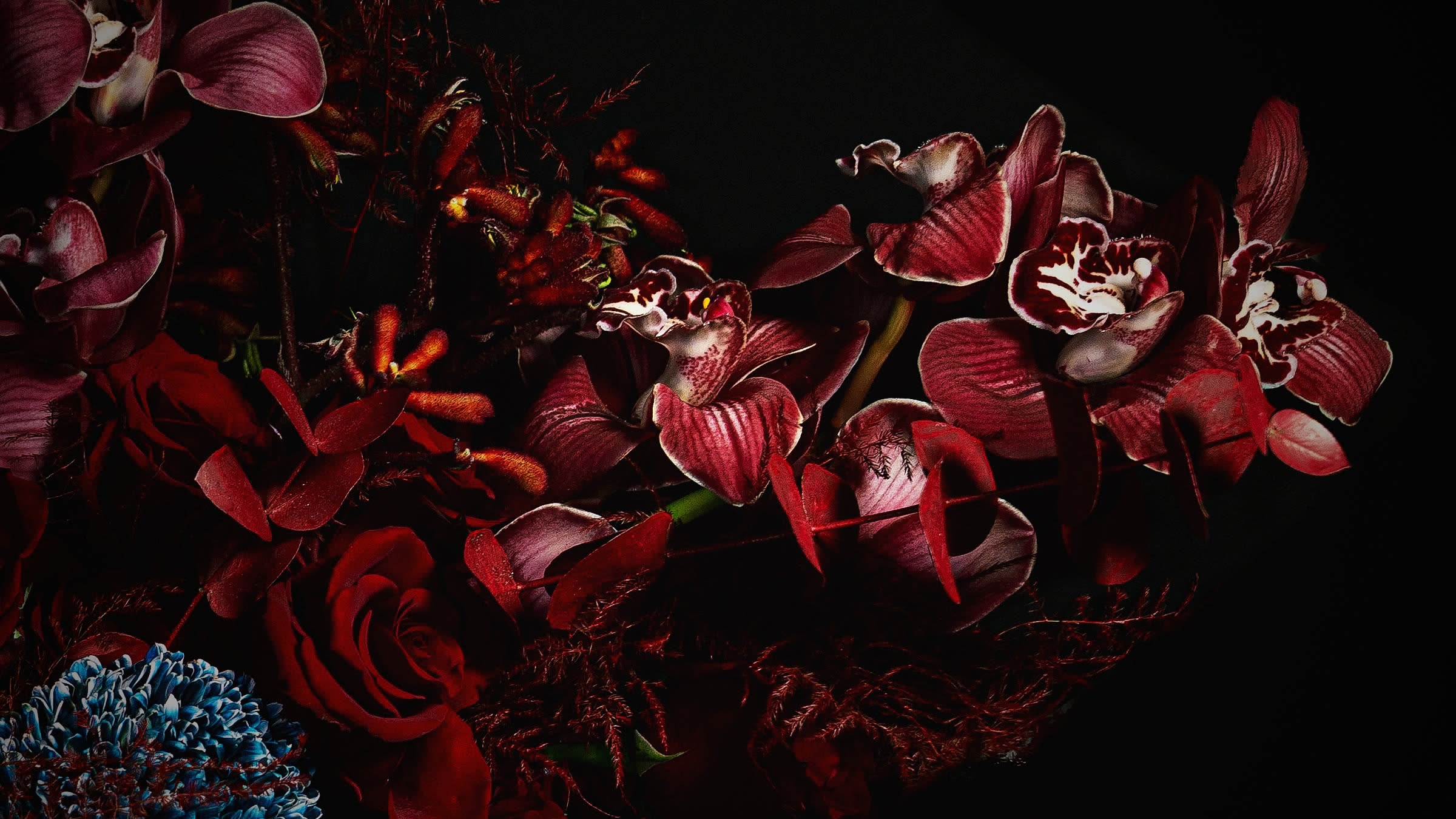 Dark red roses and orchids on black